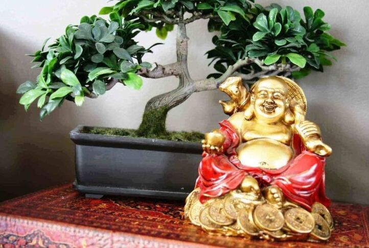 Feng Shui'ye göre evde mutluluk ve refah